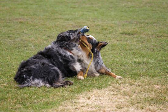 Merly und Mandy 03_2011_23